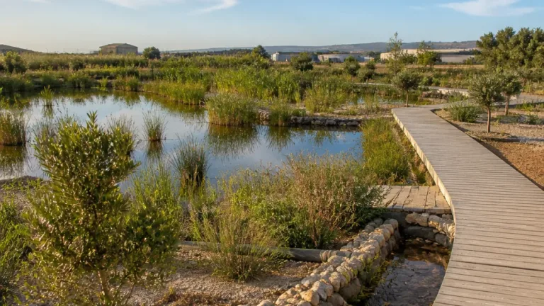 Veolia sitúa en Rojales y Torrevieja proyectos para reutilizar agua y afrontar la sequía