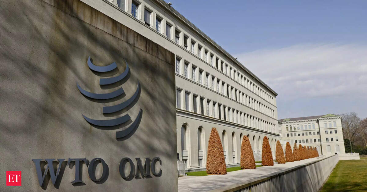 Ministros del comercio se reúnen en Camerún: ¿Qué reformas y decisiones impactarán el comercio global?